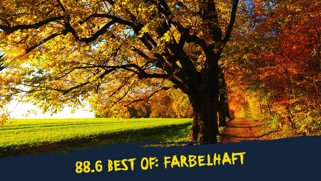 herbstlich bunte Bäume