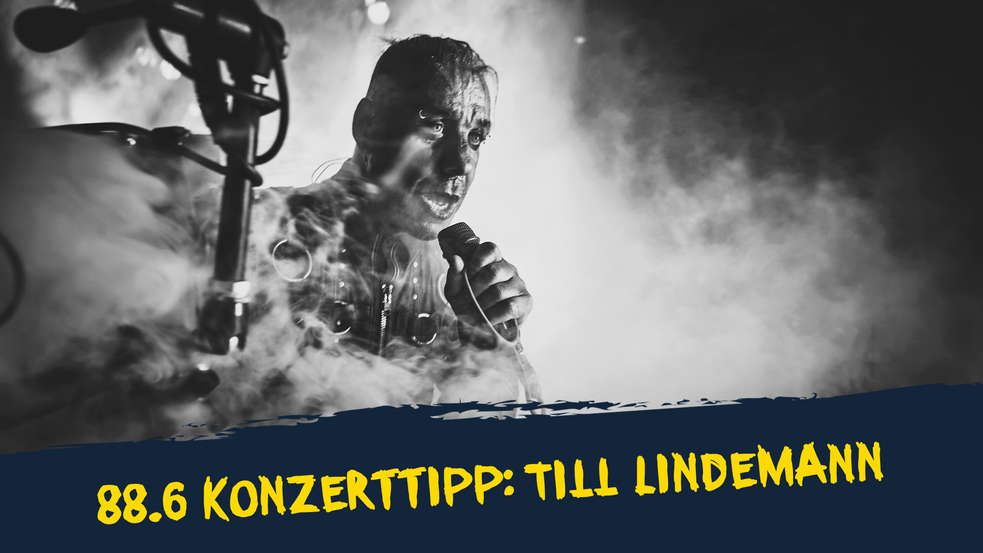 Till Lindemann mit Mikrofon im Nebel auf einer Bühne