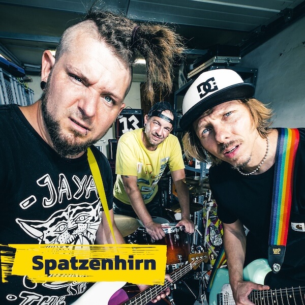 Coverbild der Band Spatzenhirn