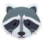 :raccoon: 🦝